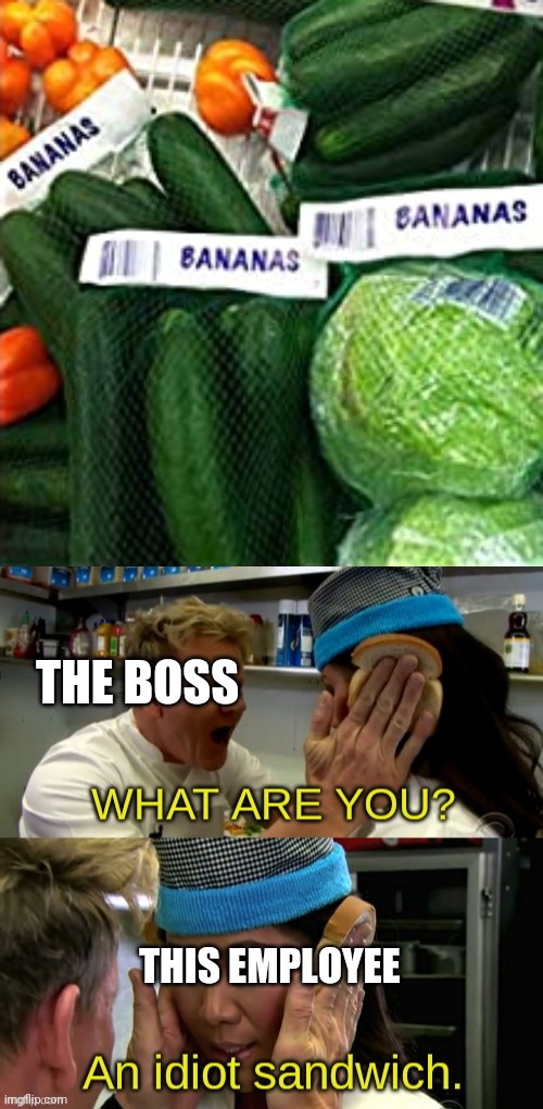 THE BOSS; THIS EMPLOYEE | image tagged in gordon ramsay idiot sandwich with text | made w/ Imgflip meme maker