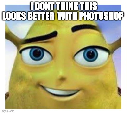 barry b shrekson | I DONT THINK THIS LOOKS BETTER  WITH PHOTOSHOP | image tagged in barry b shrekson | made w/ Imgflip meme maker