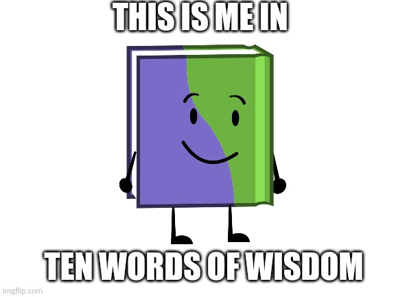 Me in TWOW | THIS IS ME IN; TEN WORDS OF WISDOM | image tagged in blank white template,bfdi,twow | made w/ Imgflip meme maker