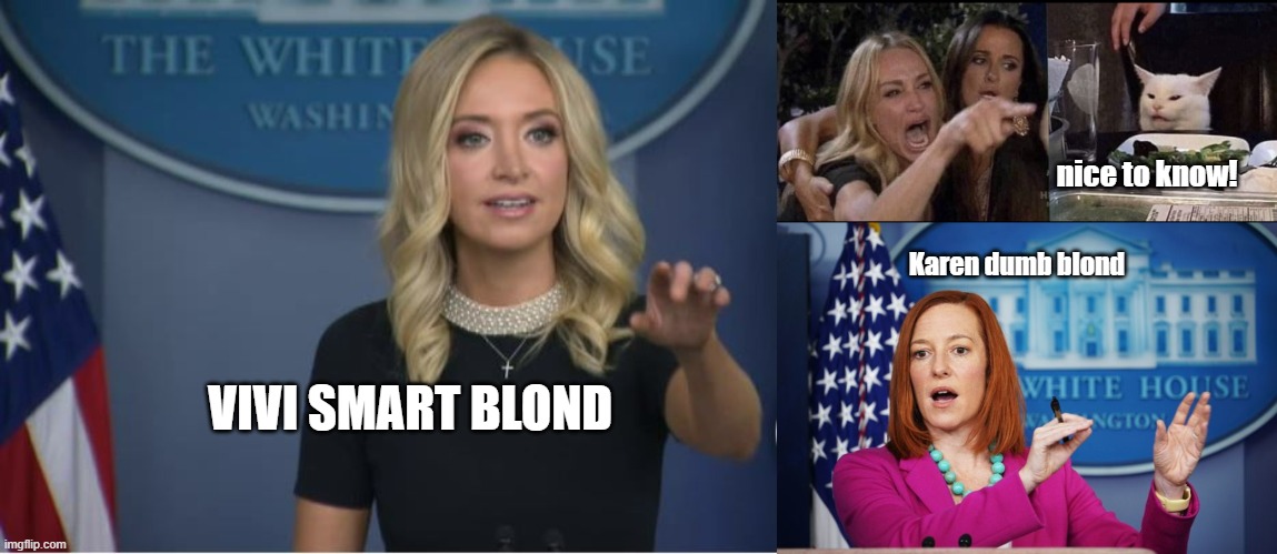 nice to know! Karen dumb blond; VIVI SMART BLOND | image tagged in kayleigh mcenany,karen carpenter and smudge cat,i'll have to circle back | made w/ Imgflip meme maker