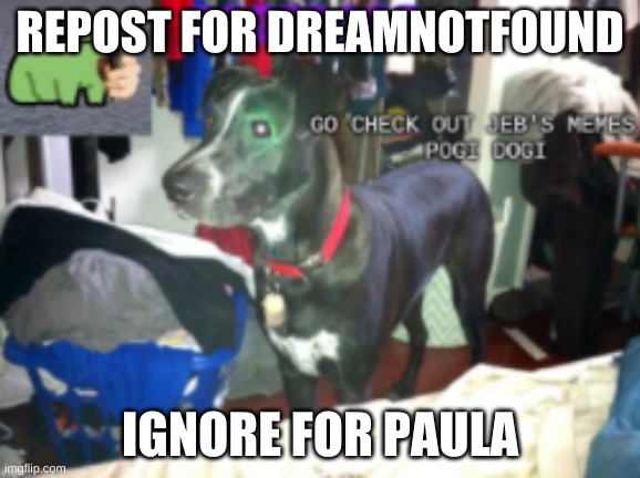 PogiDogi's Announcement Temp made by Yoshi_Official | REPOST FOR DREAMNOTFOUND; IGNORE FOR PAULA | image tagged in pogidogi's announcement temp made by yoshi_official | made w/ Imgflip meme maker