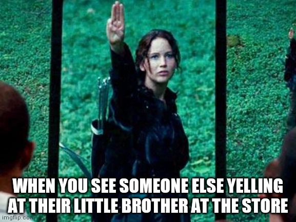 Hunger Games 2 | WHEN YOU SEE SOMEONE ELSE YELLING AT THEIR LITTLE BROTHER AT THE STORE | image tagged in hunger games 2 | made w/ Imgflip meme maker
