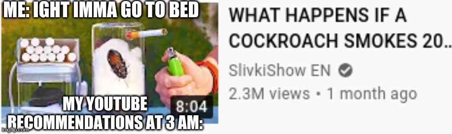 Just found this in my recommends | ME: IGHT IMMA GO TO BED; MY YOUTUBE RECOMMENDATIONS AT 3 AM: | image tagged in funny | made w/ Imgflip meme maker
