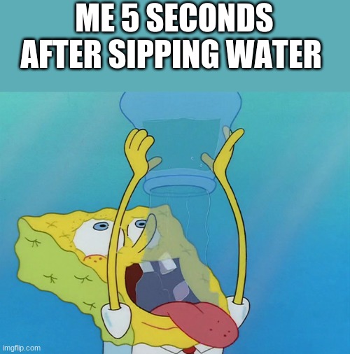 ME 5 SECONDS AFTER SIPPING WATER | image tagged in funny | made w/ Imgflip meme maker