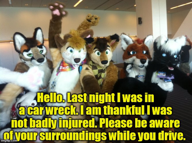 Not furry related. But important still. | Hello. Last night I was in a car wreck. I am thankful I was not badly injured. Please be aware of your surroundings while you drive. | image tagged in furries | made w/ Imgflip meme maker