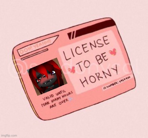 Luna license | image tagged in license to be horny | made w/ Imgflip meme maker