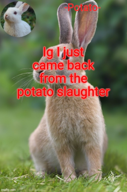 -Potato- rabbit announcement | Ig I just came back from the potato slaughter | image tagged in -potato- rabbit announcement | made w/ Imgflip meme maker