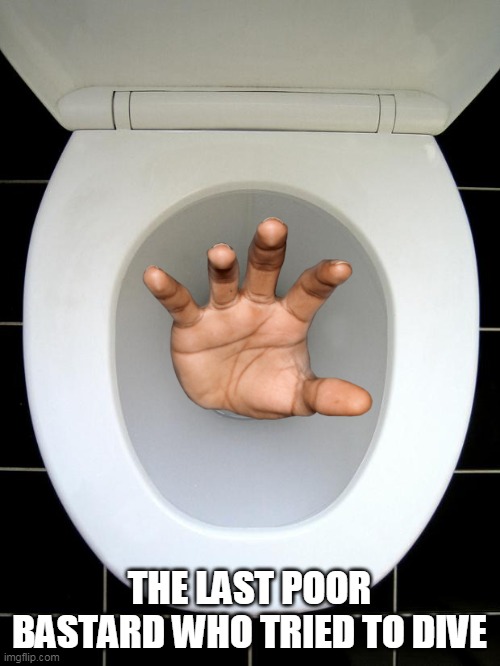 THE LAST POOR BASTARD WHO TRIED TO DIVE | image tagged in toilet | made w/ Imgflip meme maker