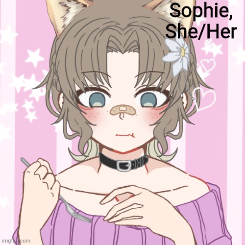 Sophie is a cat that can transform into a human, and that's pretty much all you need to know. | Sophie, She/Her | made w/ Imgflip meme maker