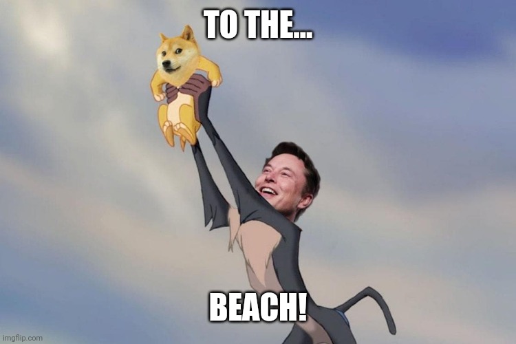 To the beach! | TO THE... BEACH! | image tagged in dogecoin,elon musk | made w/ Imgflip meme maker