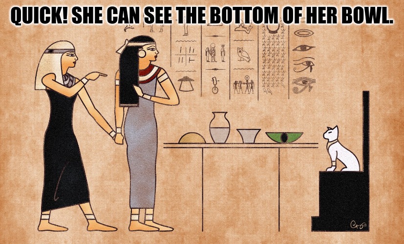 Egyptians see bottom of bowl. | QUICK! SHE CAN SEE THE BOTTOM OF HER BOWL. | image tagged in ancient egyptian memes,cats | made w/ Imgflip meme maker