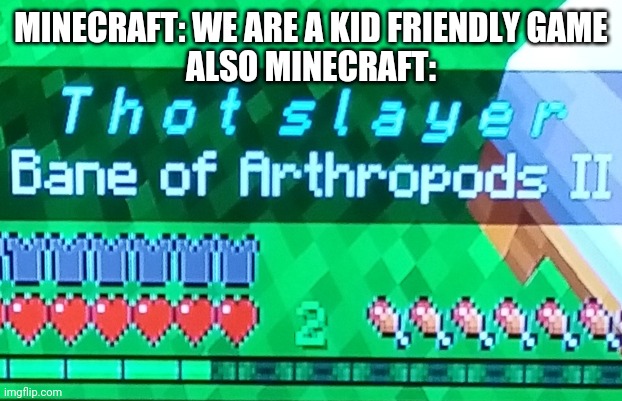 T h o t  s l a y e r | MINECRAFT: WE ARE A KID FRIENDLY GAME
ALSO MINECRAFT: | image tagged in funny memes,minecraft | made w/ Imgflip meme maker