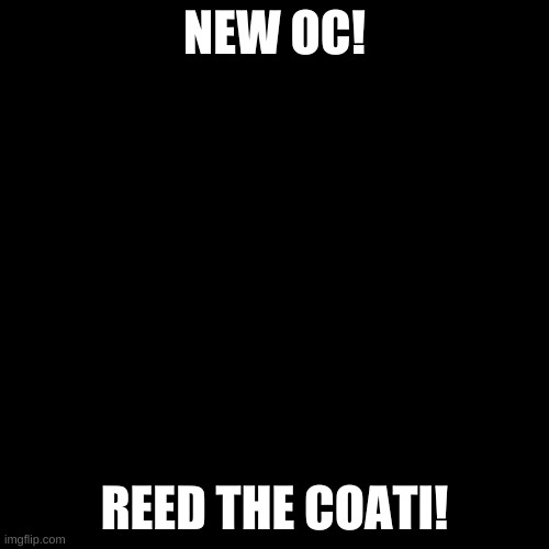 Do what you want with her! | NEW OC! REED THE COATI! | image tagged in blank black template | made w/ Imgflip meme maker