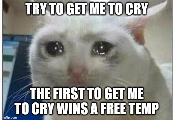 whether it be sad or happy | TRY TO GET ME TO CRY; THE FIRST TO GET ME TO CRY WINS A FREE TEMP | image tagged in crying cat | made w/ Imgflip meme maker
