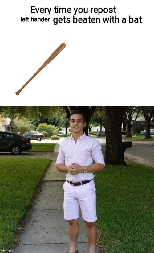 I don't actually mean this, just trying to piss off haydenthememergirl | left hander | image tagged in i had to do beat them with a bat | made w/ Imgflip meme maker