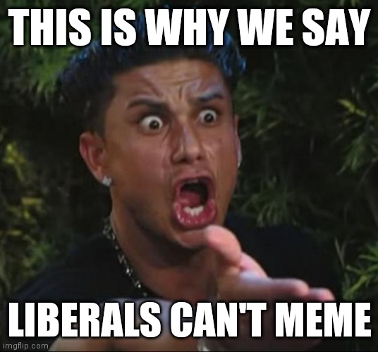 DJ Pauly D Meme | THIS IS WHY WE SAY LIBERALS CAN'T MEME | image tagged in memes,dj pauly d | made w/ Imgflip meme maker