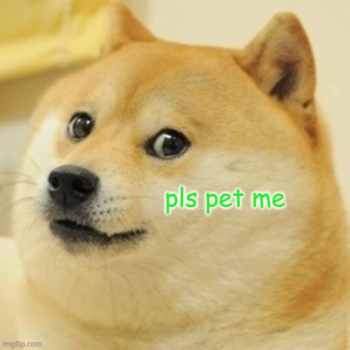 Doge Meme | pls pet me | image tagged in memes,doge | made w/ Imgflip meme maker