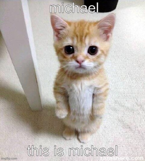say hi to michael | michael; this is michael | image tagged in memes,cute cat,michael | made w/ Imgflip meme maker