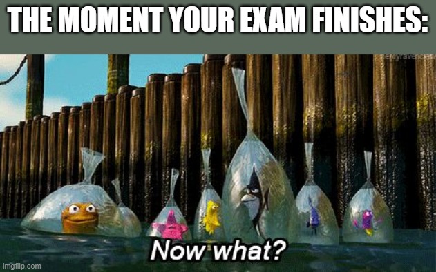 hmmmmm rlly wht next | THE MOMENT YOUR EXAM FINISHES: | image tagged in now what | made w/ Imgflip meme maker