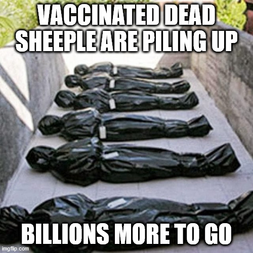 Got vaxxed? Sorry you trusted CNN, now ur dead | VACCINATED DEAD SHEEPLE ARE PILING UP; BILLIONS MORE TO GO | image tagged in stylish body bags for libertarians | made w/ Imgflip meme maker