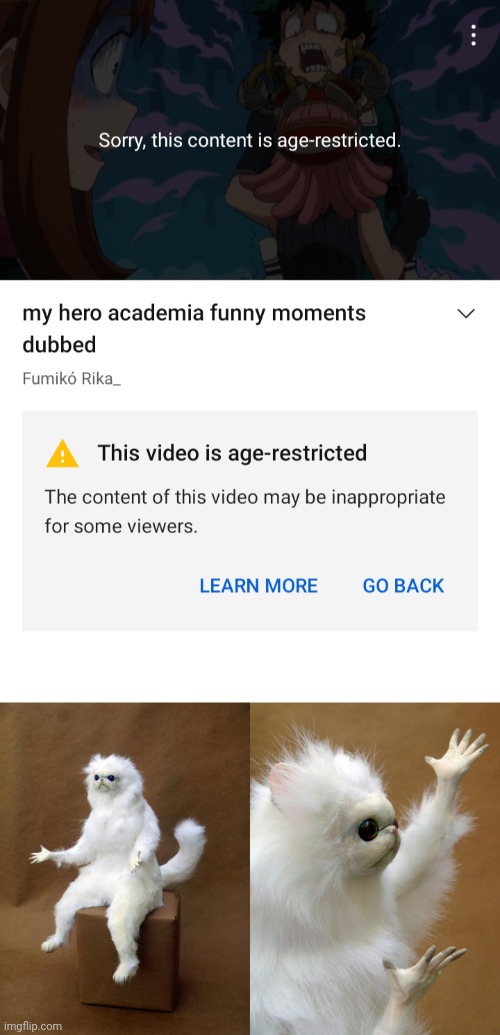 Age restricted? | image tagged in memes,persian cat room guardian | made w/ Imgflip meme maker