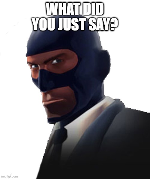 WHAT DID YOU JUST SAY? | made w/ Imgflip meme maker