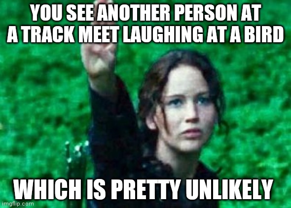 Katniss salute | YOU SEE ANOTHER PERSON AT A TRACK MEET LAUGHING AT A BIRD; WHICH IS PRETTY UNLIKELY | image tagged in katniss salute | made w/ Imgflip meme maker
