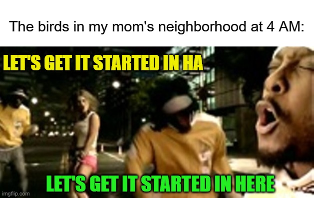 The birds in my mom's neighborhood at 4 AM:; LET'S GET IT STARTED IN HA; LET'S GET IT STARTED IN HERE | image tagged in memes,birds,song,lyrics,morning | made w/ Imgflip meme maker