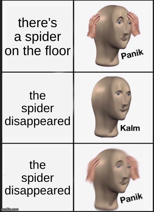 spider | there's a spider on the floor; the spider disappeared; the spider disappeared | image tagged in memes,panik kalm panik | made w/ Imgflip meme maker