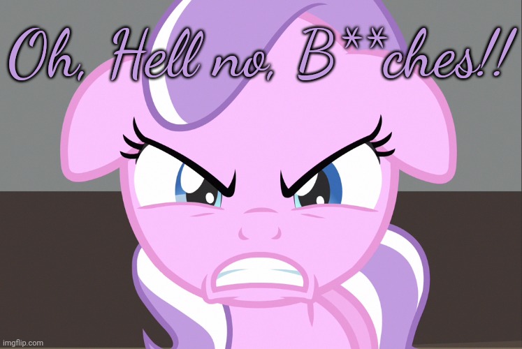 Diamond Tiara Growled (MLP) | Oh, Hell no, B**ches!! | image tagged in diamond tiara growled mlp | made w/ Imgflip meme maker