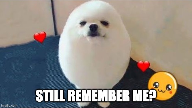 eggdog | STILL REMEMBER ME? | image tagged in eggdog | made w/ Imgflip meme maker