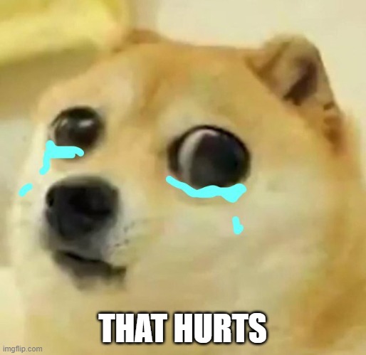 big eyes crying doge | THAT HURTS | image tagged in big eyes crying doge | made w/ Imgflip meme maker