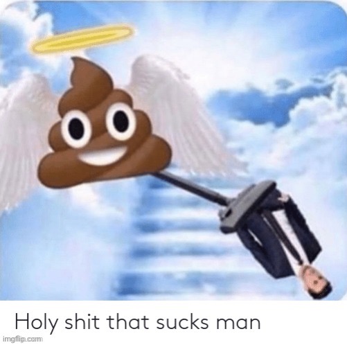 Holy shit that sucks man | image tagged in holy shit that sucks man | made w/ Imgflip meme maker