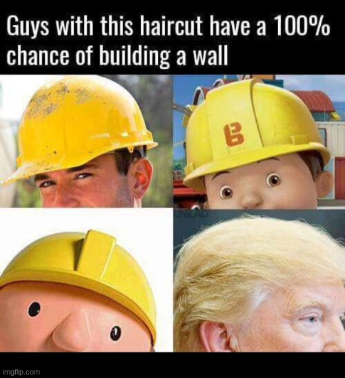 the haircut | image tagged in walls,donald trump,bob the builder | made w/ Imgflip meme maker