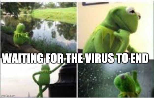 A bazillion years later... | WAITING FOR THE VIRUS TO END | image tagged in waiting kermit,coronavirus | made w/ Imgflip meme maker