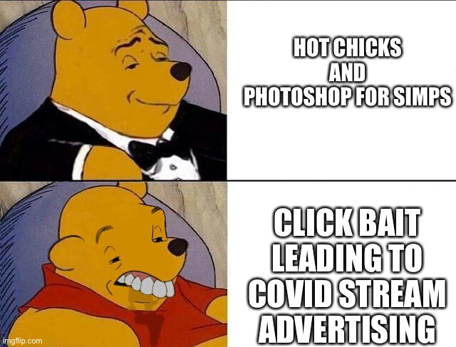 Winnie the Pooh | HOT CHICKS AND PHOTOSHOP FOR SIMPS; CLICK BAIT LEADING TO COVID STREAM ADVERTISING | image tagged in winnie the pooh | made w/ Imgflip meme maker