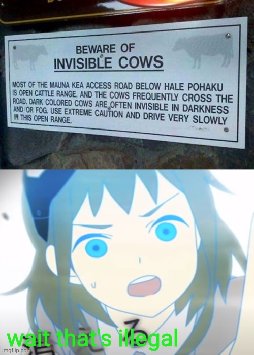 Weirdest Signs - Exit 3: Beware Of The Invisible Cows | wait that's illegal | image tagged in surprised gumi,invisible,cows,stupid signs | made w/ Imgflip meme maker