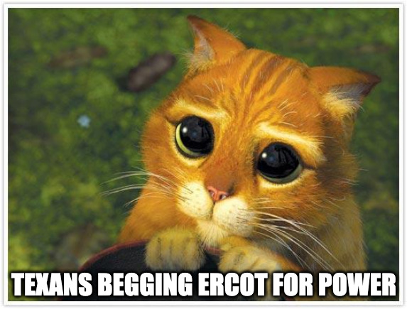 Texas Ercot | TEXANS BEGGING ERCOT FOR POWER | image tagged in memes,shrek cat,texas,power | made w/ Imgflip meme maker
