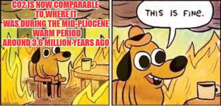 nice warm CO2 | CO2 IS NOW COMPARABLE 
TO WHERE IT WAS DURING THE MID-PLIOCENE
 WARM PERIOD AROUND 3.6 MILLION YEARS AGO | image tagged in this is fine | made w/ Imgflip meme maker