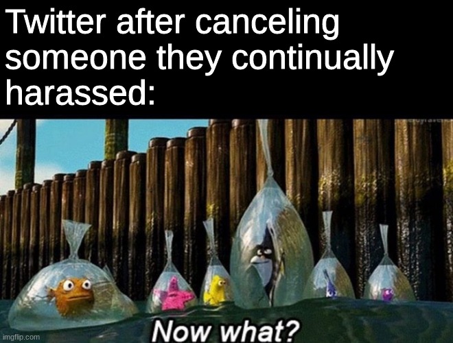 Sometimes Cancel Culture has no real plan | Twitter after canceling 
someone they continually 
harassed: | image tagged in now what,cancel culture,twitter | made w/ Imgflip meme maker