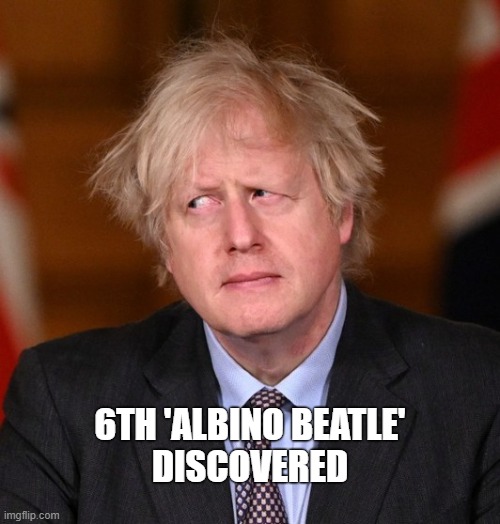  6TH 'ALBINO BEATLE'
DISCOVERED | image tagged in boris johnson | made w/ Imgflip meme maker