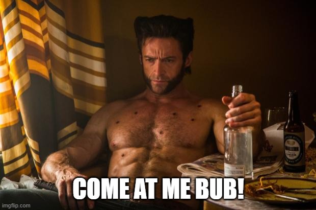 Wolverine depressed | COME AT ME BUB! | image tagged in wolverine depressed | made w/ Imgflip meme maker