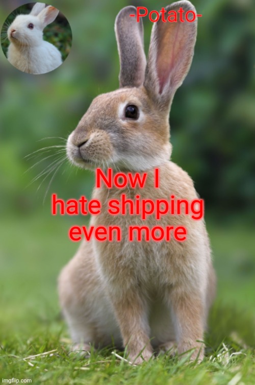 -Potato- rabbit announcement | Now I hate shipping even more | image tagged in -potato- rabbit announcement | made w/ Imgflip meme maker