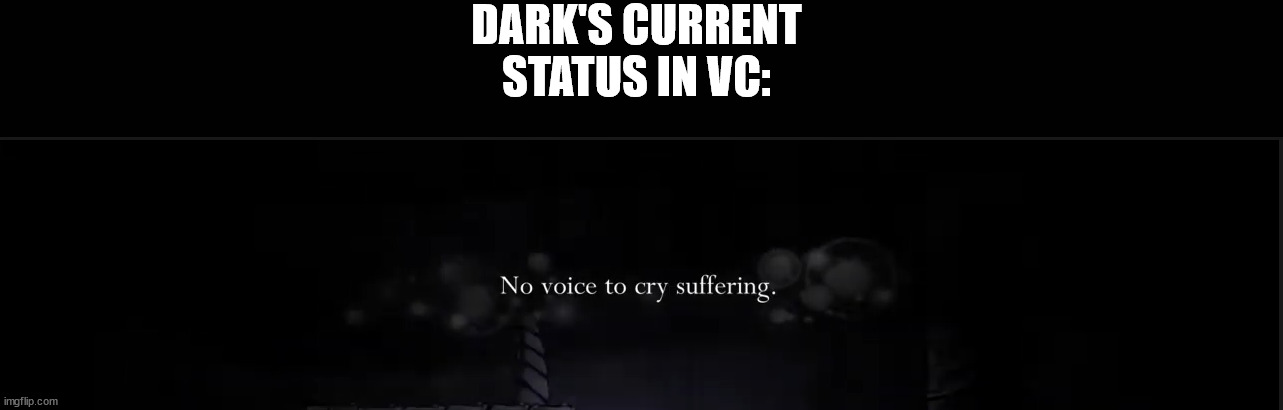 no voice to cry suffering | DARK'S CURRENT STATUS IN VC: | image tagged in sad | made w/ Imgflip meme maker