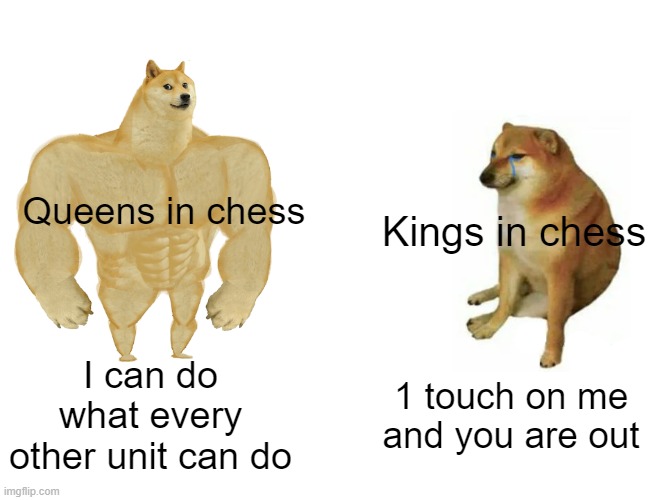 true | Queens in chess; Kings in chess; I can do what every other unit can do; 1 touch on me and you are out | image tagged in memes,buff doge vs cheems | made w/ Imgflip meme maker