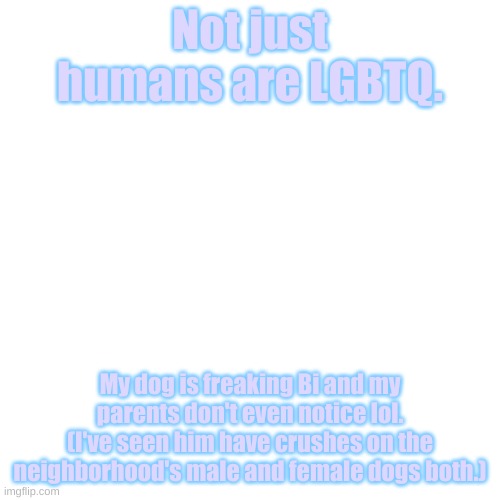 Glad I'm not the only gay person in my family | Not just humans are LGBTQ. My dog is freaking Bi and my parents don't even notice lol. (I've seen him have crushes on the neighborhood's male and female dogs both.) | image tagged in blank white square template,lgbtq,lgbt,dogs | made w/ Imgflip meme maker
