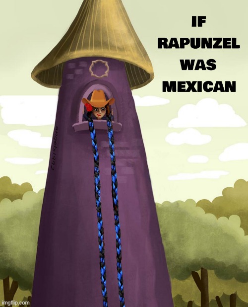 image tagged in rapunzel,mexican,cowgirl,fairy tale,hair,tower | made w/ Imgflip meme maker