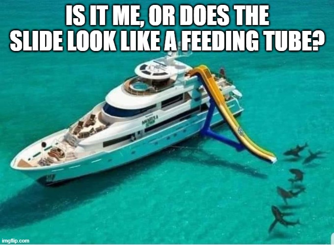 Feeding tube | IS IT ME, OR DOES THE SLIDE LOOK LIKE A FEEDING TUBE? | image tagged in funny | made w/ Imgflip meme maker