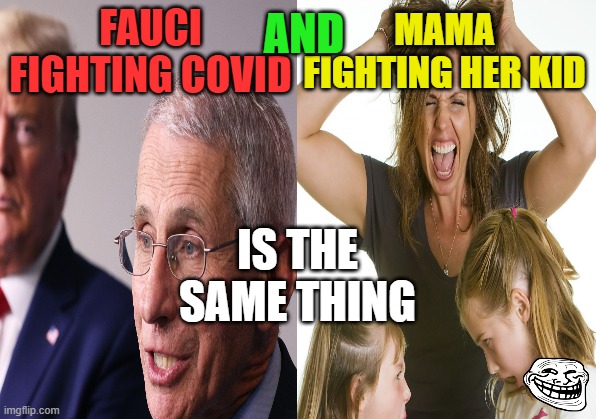 Unbanning ''gain of function'' in 2017 | MAMA FIGHTING HER KID; FAUCI FIGHTING COVID; AND; IS THE SAME THING | image tagged in covid-19,dr fauci,nih | made w/ Imgflip meme maker
