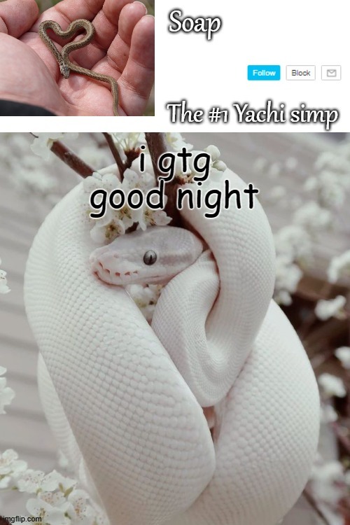 i gtg good night | image tagged in soap snake temp ty yachi | made w/ Imgflip meme maker